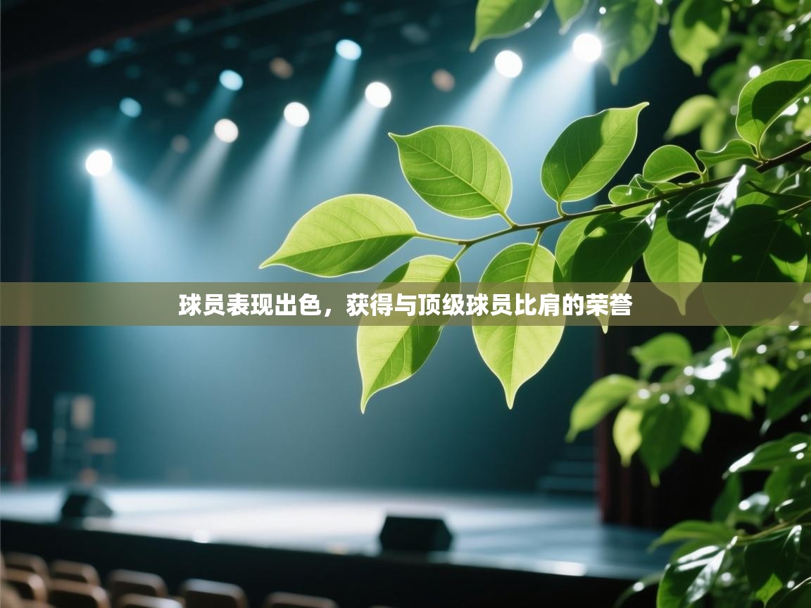 球员表现出色,获得与顶级球员比肩的荣誉 第2张