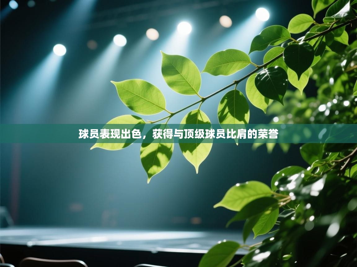 球员表现出色,获得与顶级球员比肩的荣誉 第1张