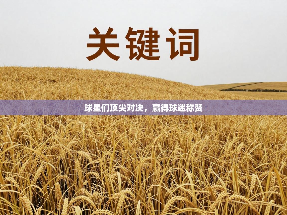球星们顶尖对决，赢得球迷称赞  第1张