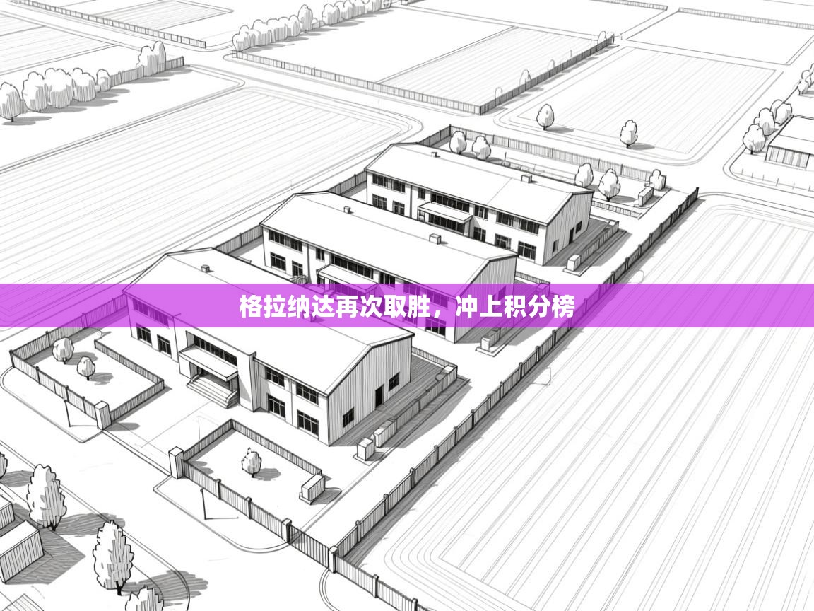 格拉纳达再次取胜，冲上积分榜  第1张